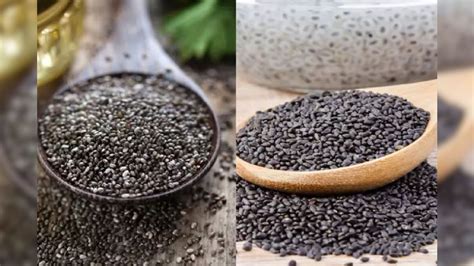 Chia Seeds Vs Sabja Seeds Understand The Difference Between Two Seeds News18 தமிழ்