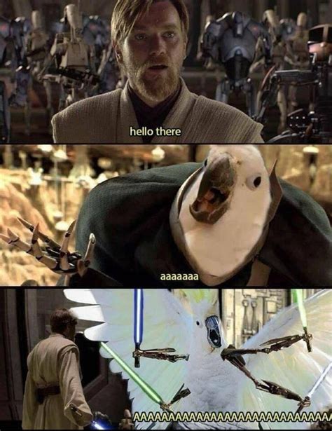 Aaaaa From Rprequelmemes Rbirdswitharms