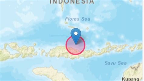 Gempa Terkini M43 Guncang Mbay Nagekeo Hari Ini 27 Januari 2024