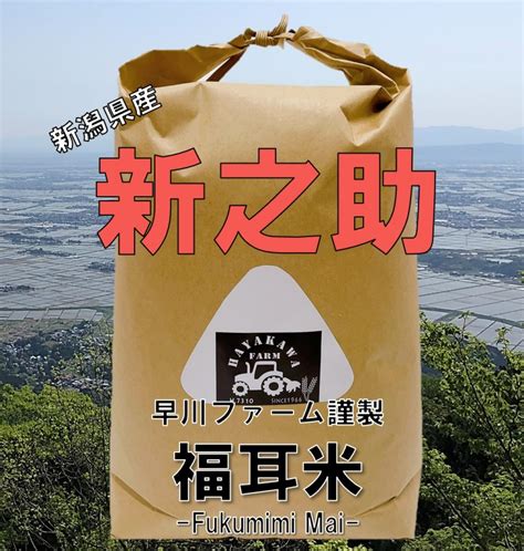 新潟県産 新之助2kg5kg10kg20kg30kg