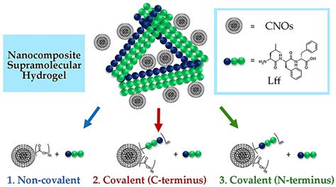 Nanomaterials Free Full Text Supramolecular Hydrogels From A