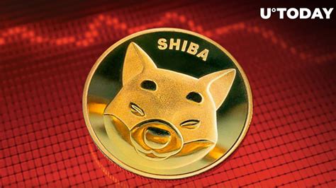 Here S Why Shiba Inu Shib Trading Volume Crash Is Good News