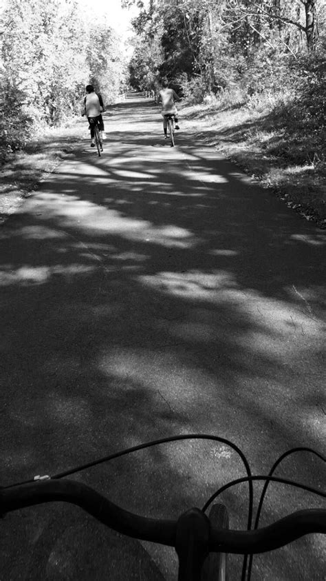 Biking Through The Woods