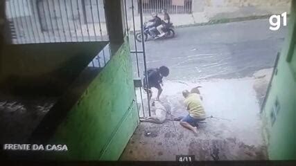 VÍDEO Tutor rola no chão pitbull para livrar cadela de ataque em