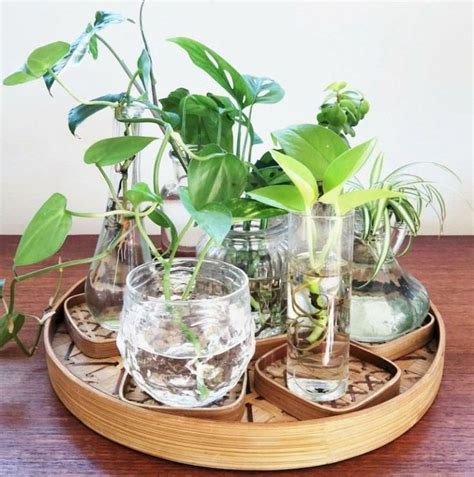 55 Indoor Water Garden Ideas That Fresh Your Room