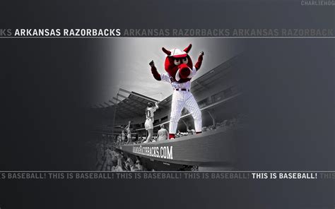 Arkansas Razorbacks Wallpapers - Top Free Arkansas Razorbacks ...