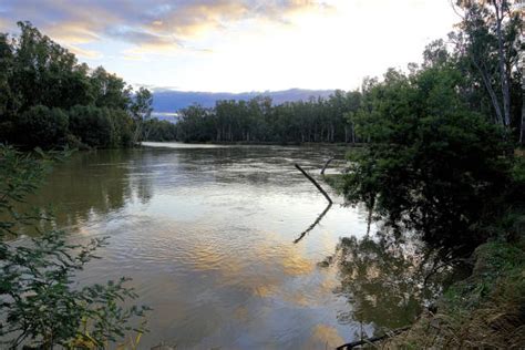 780+ Barmah National Park Photos Stock Photos, Pictures & Royalty-Free ...