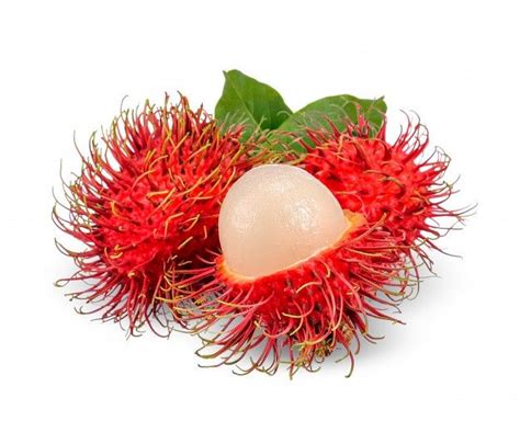 Premium Photo Rambutan Isolated On White With Clipping Path In 2024