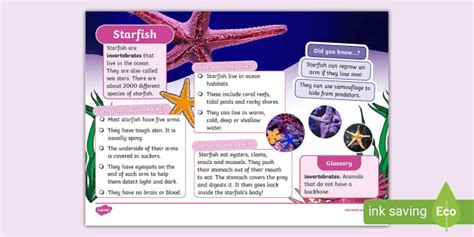 Starfish Fact File KS1 Sea Life Science Topics Twinkl