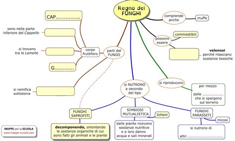 Mappe Per La Scuola I Funghi