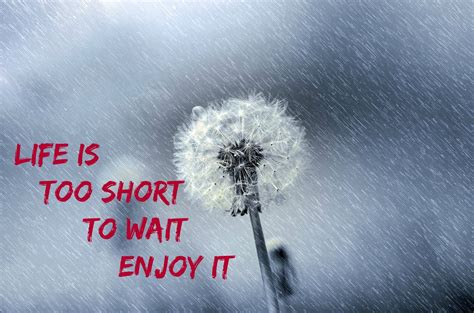 Thought Of The Day Life Is Short