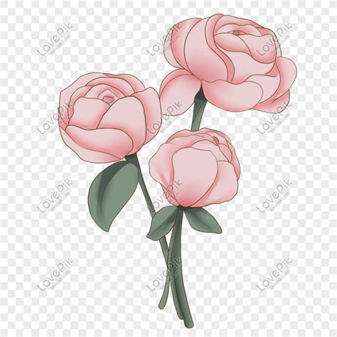 Dibujado A Mano De Dibujos Animados Hermosas Flores De Color Ros Png