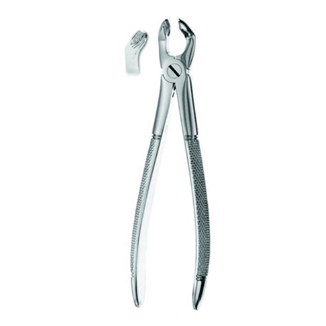 Best Extraction Forceps Lower Wisdom Terceros Molares Inferiores 79 1