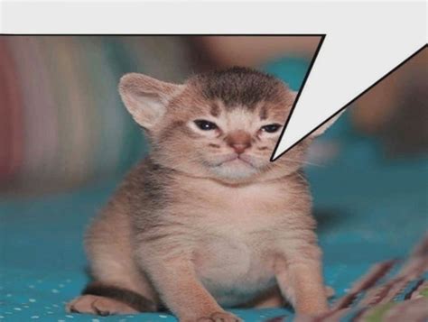 Skye On Twitter My Source Is That I Made It The Fuck Up Https T Co