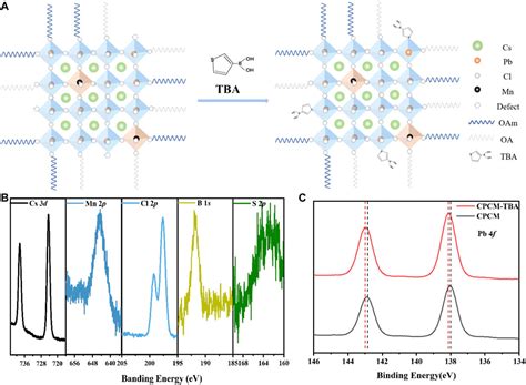 Frontiers Thiophene Derivatives As Ligands For Highly Luminescent And