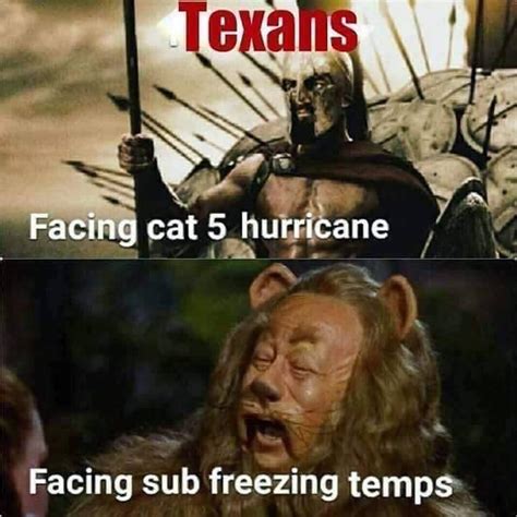 Oh Texas... : r/funny