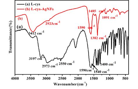 Ftir Spectra Of A L Cys And B Agnfs Synthesized Using L Cys