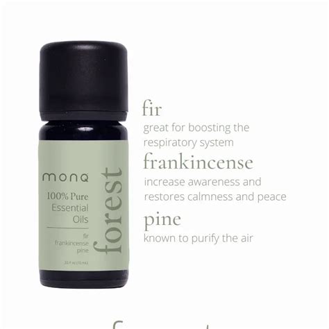 Forest Essential Oil Blend Aroma Thyme Aromatherapy