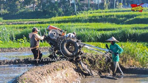 Traktor Sawah Quick G Zeva Menuju Lahan Garapan Berikutnya Youtube