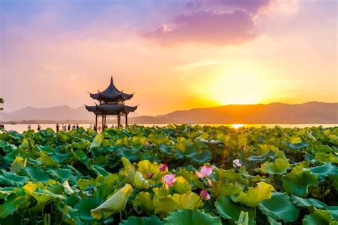 The Lotus And Sunset Clouds In Ancient Pavilion In West Lake Hangzhou