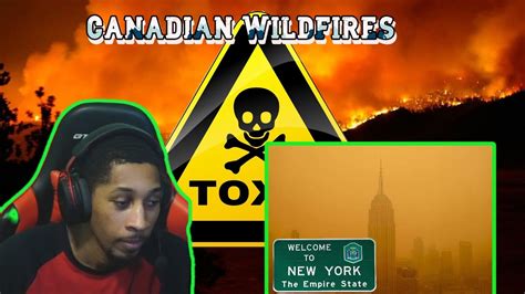 The Schemer J S Reacts To Canadian Wildfires Nyc Rat Pandemic