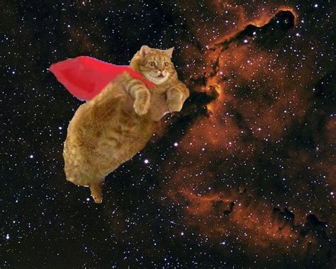 Super Space Cat Space Cat Cat Art Cats Illustration