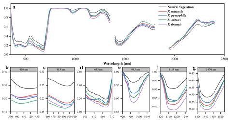 Remote Sensing Free Full Text Analysis Of Vegetation Canopy