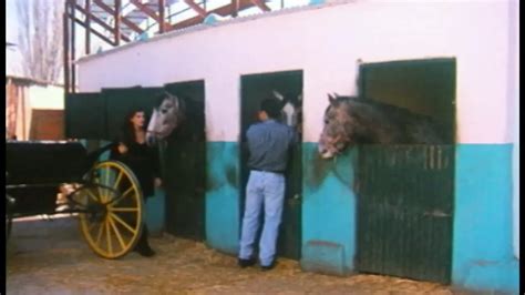 Hakan Serbes Porn Videos Porn Star Sex Scenes Xhamster