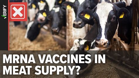 No MRNA Vaccines Are Not Being Added To The U S Food Supply Through