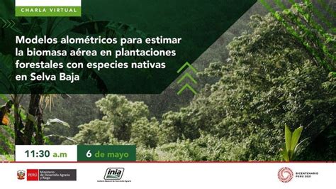 Modelos alométricos para estimar la biomasa aérea en plantaciones