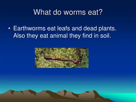 Ppt Earthworms Powerpoint Presentation Free Download Id6666809