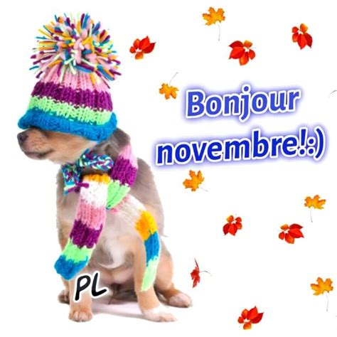 Novembre Bonjour Novembre Novembre Bienvenue Novembre