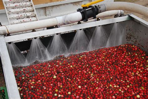 Top Of Cranberry Picker 4 Cherry Capital Foods Flickr