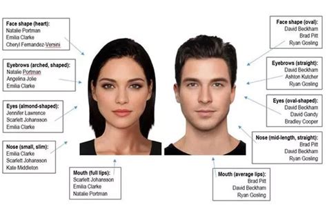 E Fit Computer Creates Faces Of The Most Beautiful Man And Woman In