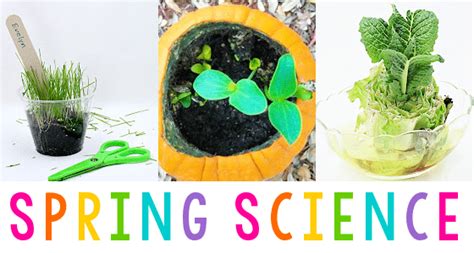 Spring Science Activities For Preschoolers