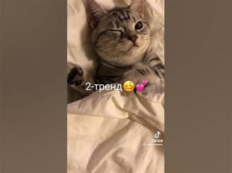 трент - YouTube
