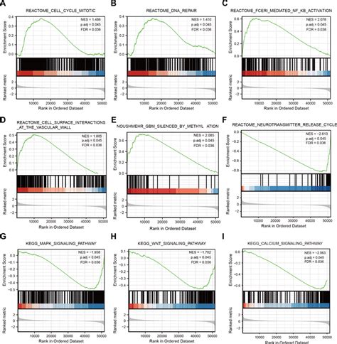 GSEA Analysis Results Of The TCGA RNA Seq Data A E The Cell Cycle