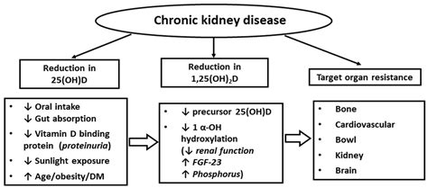 Nutrients Free Full Text Role Of Vitamin D In Cognitive Function In