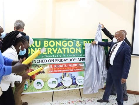 Governor Kiraitu Launches The Historical Meru Mountain Bongo And Black