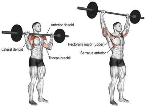 Ways To Shoulder Press Fitness Workouts And Exercises