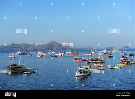 The Scenic Harbor Of Labuan Bajo In Flores Indonesia Stock Photo Alamy