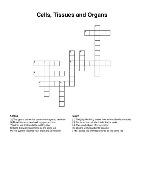 Cells Tissues And Organs Crossword Puzzle