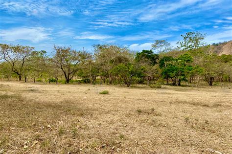 Vistas De Flamingo Lot 25 Large Forested Plot Of Land Minutes From