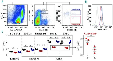 The Role Of Cd44 In Fetal And Adult Hematopoietic Stem Cell Regulation