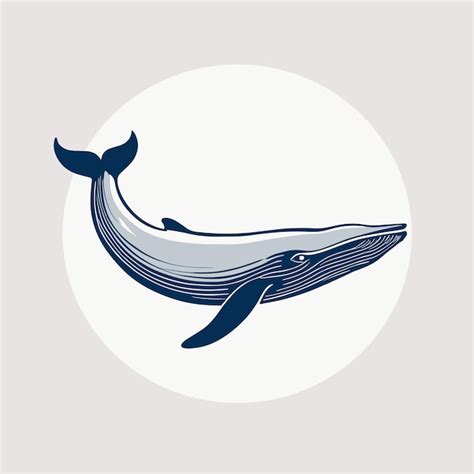 Premium Vector | Whale drawing silhouette art illustration