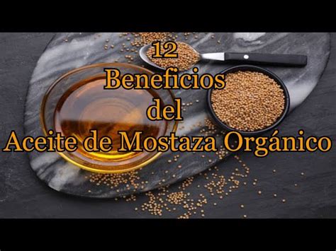 Humus De Lombriz Descubre Los Beneficios Y Usos Del Aceite De