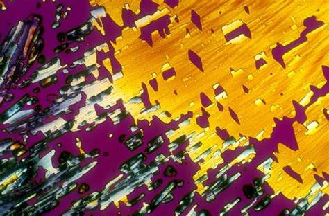 22 Different Types Of Alcohol That Look Amazing Under A Microscope Airows