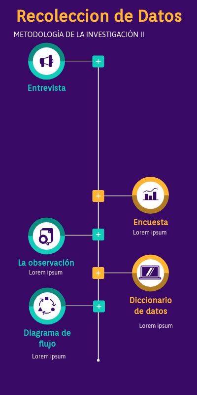 Infografia Técnica De Recolección De Datos