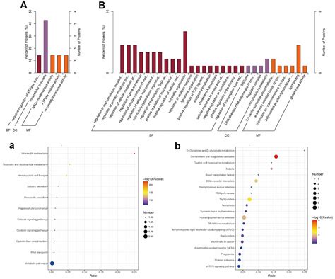 The Mechanism Of Simultaneous Intake Of Jujuboside A And B In The