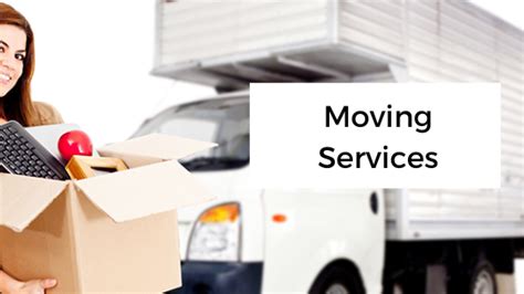 Looking For Professional Movers Dragon Brand Design